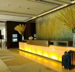Use of Onyx in Luxury Interior Design in Europe