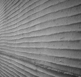 Backlit Onyx and Travertine Wall Panels in Luxury Wine Cellars: Design and Project Supply Guide